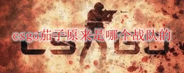 csgo茄子原来是哪个战队的