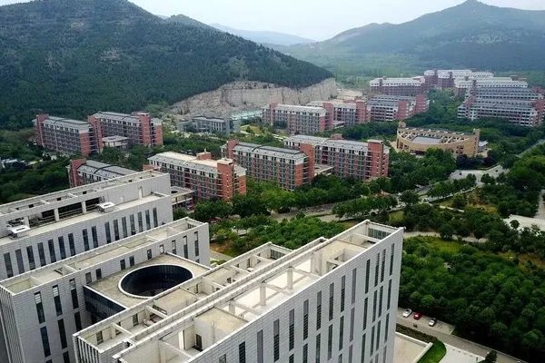 2023山师大录取分数线是多少分？