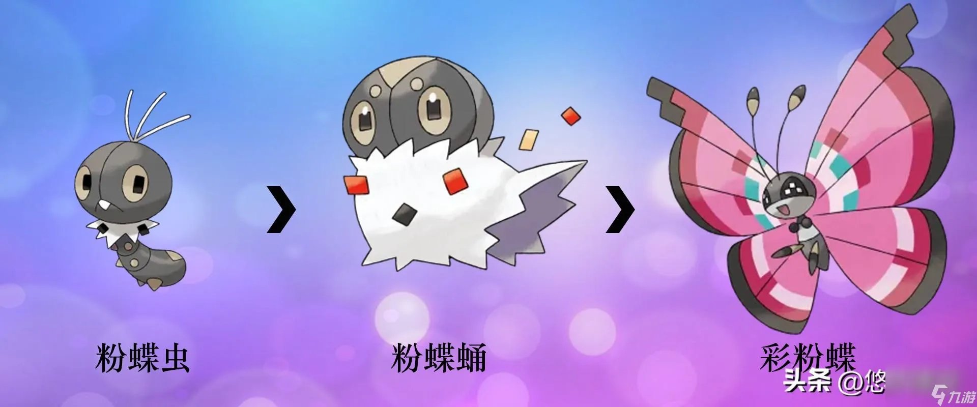 口袋精灵2宠物进化图 部分