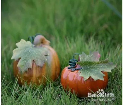 中国人感恩节攻略