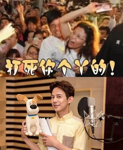 惊天动地！何炅遭女观众殴打 事情真相大起底