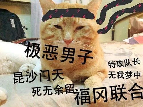 我和你什么仇什么怨的事件经过