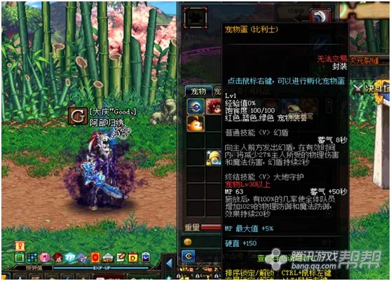 超值宠物盘点!DNF特别宠物礼盒有哪些好宠物?