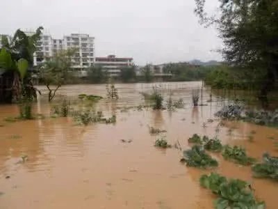 湖南多地洪水侵袭是怎么回事？