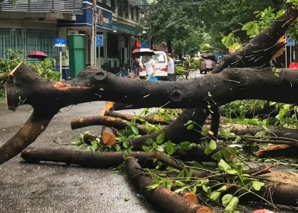 强台风“梅花”携风带雨而来，将影响我国哪些地区？