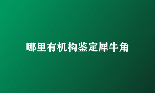哪里有机构鉴定犀牛角