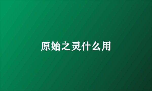 原始之灵什么用