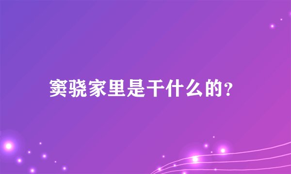 窦骁家里是干什么的？