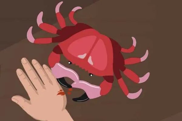 蒸螃蟹多长时间