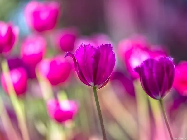 附近律师事务所位置在哪里