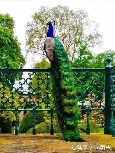 找老婆应该找个什么样的?