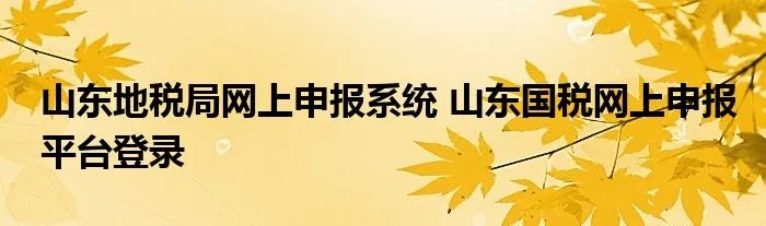 山东地税局网上申报系统 山东国税网上申报平台登录