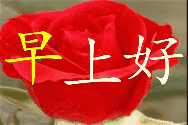 友谊牵挂早上好祝福语