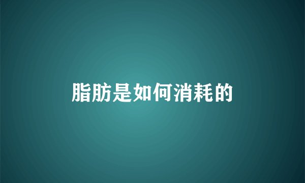 脂肪是如何消耗的