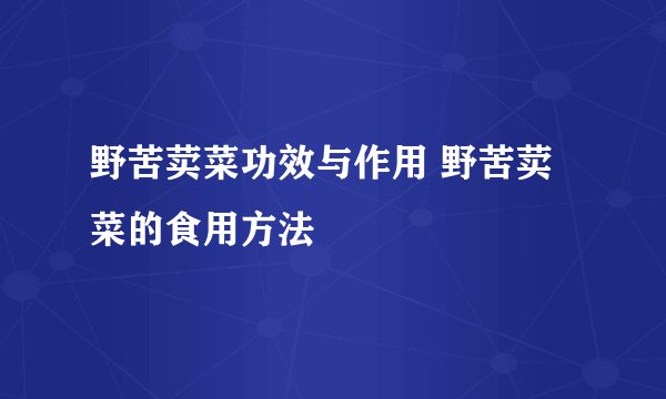 野苦荬菜功效与作用 野苦荬菜的食用方法