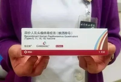 建议对农村居民免费接种HPV疫苗，为何不建议城市居民免费接种？