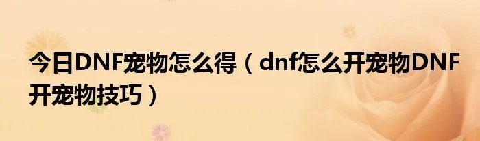 今日DNF宠物怎么得（dnf怎么开宠物DNF开宠物技巧）