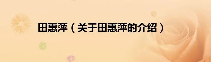 田惠萍（关于田惠萍的介绍）