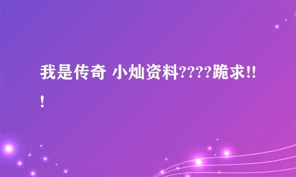 我是传奇 小灿资料????跪求!!!