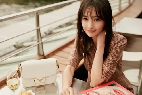 如何看待郑爽前男友公司成被执行人这件事呢?