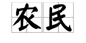 “农民”的拼音怎么写？