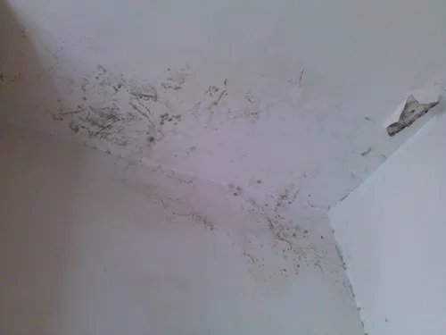 房子漏水应该怎么解决