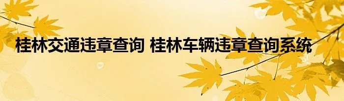 桂林交通违章查询 桂林车辆违章查询系统