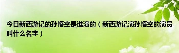今日新西游记的孙悟空是谁演的（新西游记演孙悟空的演员叫什么名字）