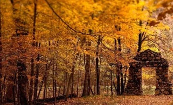 画一幅秋天的画？