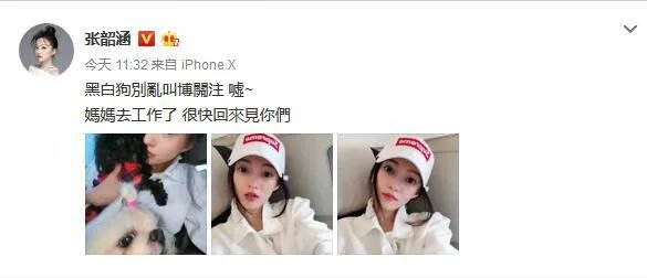 张韶涵妹妹是怎么回应“黑白狗”歧义的？