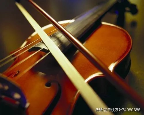 小提琴有几根弦?