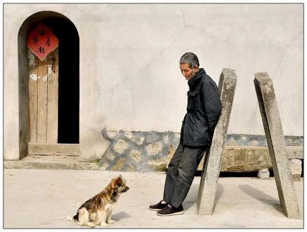 2019数九天时间表