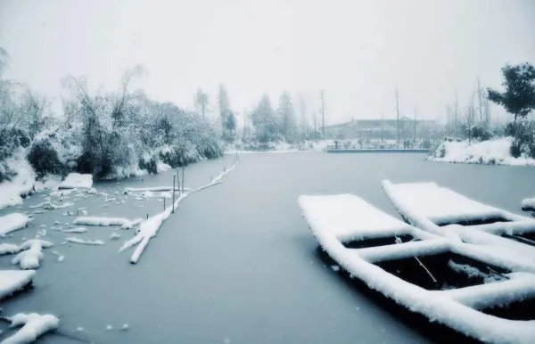 2019数九天时间表