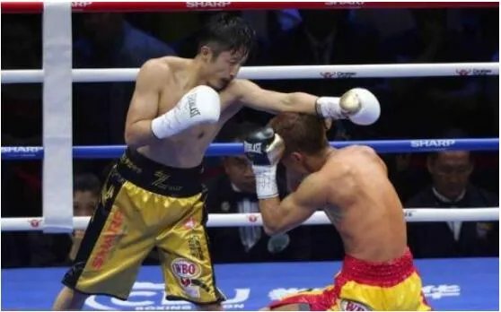 邹市明申诉失败事件回顾