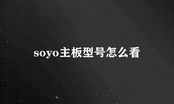 soyo主板型号怎么看