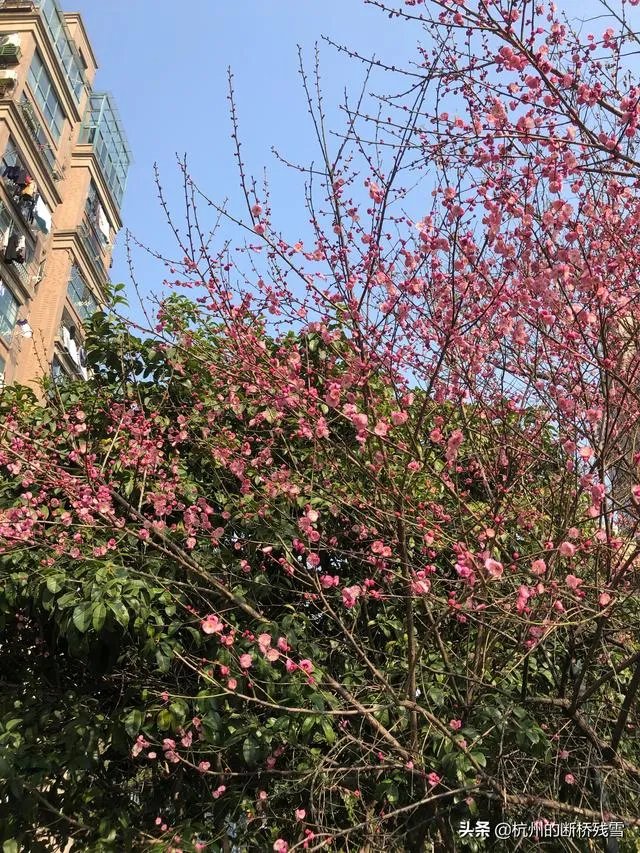 长春站售票员怒怼插队女子，你觉得售票员的做法对吗？