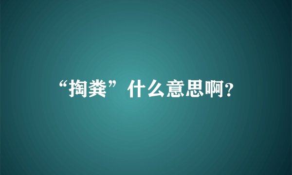 “掏粪”什么意思啊？
