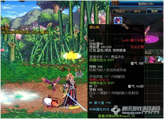 超值宠物盘点!DNF特别宠物礼盒有哪些好宠物?