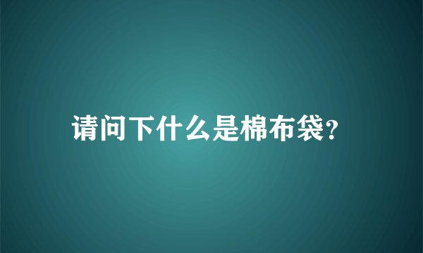 请问下什么是棉布袋？