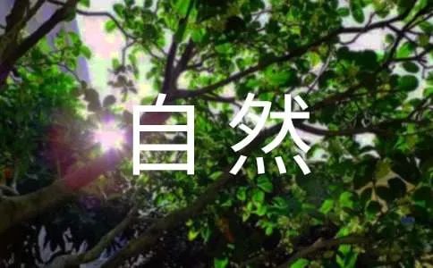 自然现象的作文