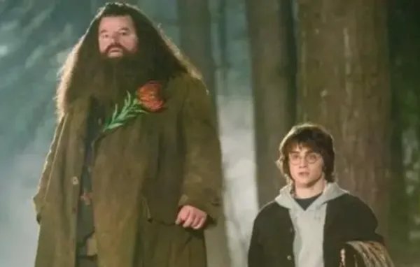 哈利波特海格扮演者去世，海格在故事中是怎样的存在？