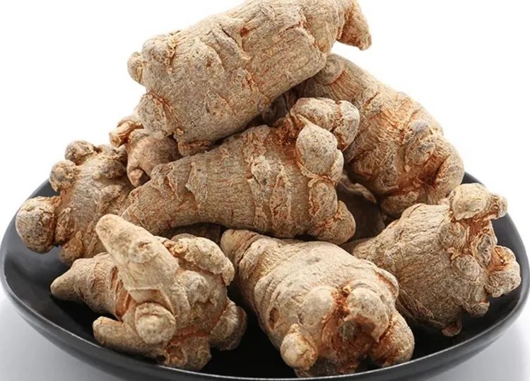 三七的功效与作用