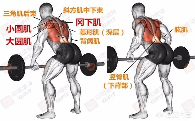 练背可以天天练吗