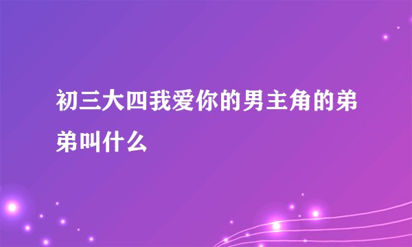 初三大四我爱你的男主角的弟弟叫什么