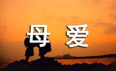 父母爱作文400字