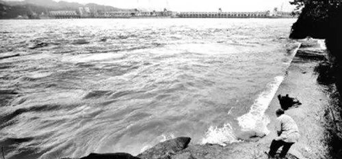 长江发生江堤坍塌一片哗然     绝处逢生的村民该何去何从？