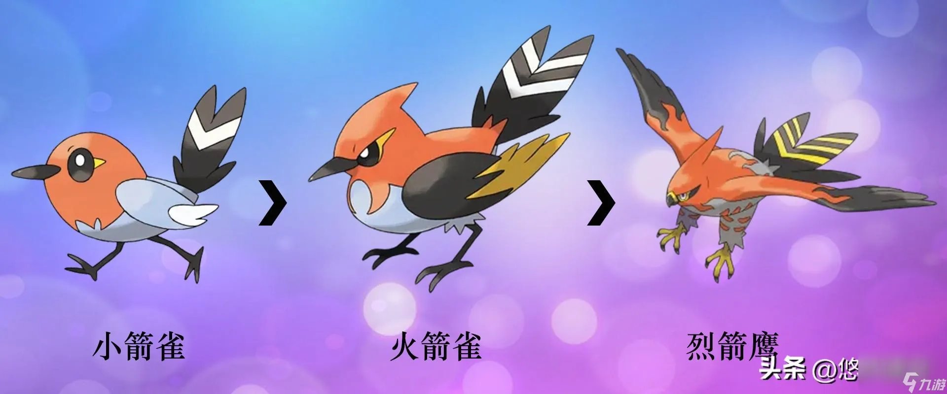 口袋精灵2宠物进化图 部分