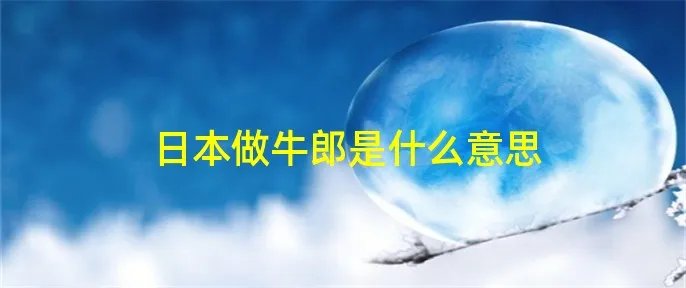 日本做牛郎是什么意思