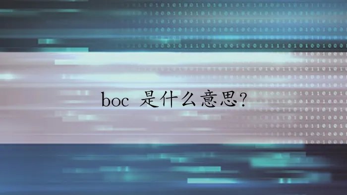 boc 是什么意思？