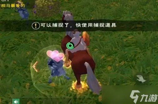 《创造与魔法》蓝蜥蜴位置在哪 蓝蜥蜴位置攻略